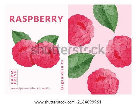 Longan Fruit packaging design templates, watercolour style vector illustration.