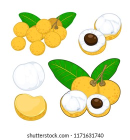 Longan fruit set for decoration set.