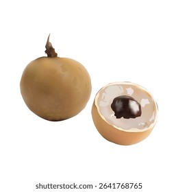 longan fruit Slice illustration on white backgorund vol 01