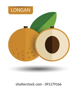 Longan, fruit vector illustration