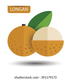 Longan, fruit vector illustration