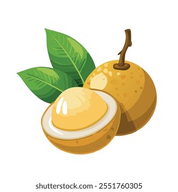 Longan Fruit Whole and Cut Open Showcasing Its Juicy Interior and Vibrant Tropical Leaves