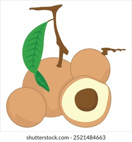 Longan Icon Isolated Vector Illustration, Peel Longan, Sweet Fruits, Brown Fruit and a Bunch of Longan, Tropical Fruits, Longan Snacks or Vegetarian Nutrition, Kelengkeng, Buah, Buah Kelengkeng