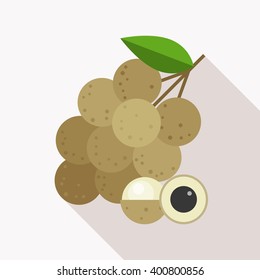 longan icon with long shadow, flat design