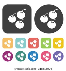 longan icon set. Vector Illustration eps10
