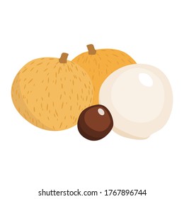 Longan aislado en fondo blanco, ilustración vectorial