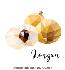Longan is on white background. Vector illustration of tropical fruit. Card. Print design.
