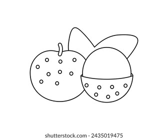 longan outline for coloring book template, longan for kids illustration worksheet printable