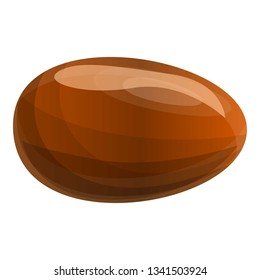 Longan seed icon. Cartoon of longan seed vector icon for web design isolated on white background