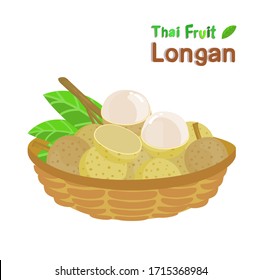 Longan Thai Fruit on White Background Vector