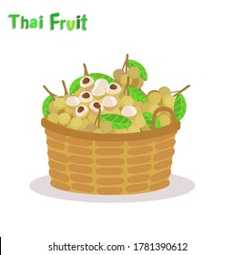Longan Thai Fruit on White Background Vector