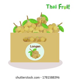 Fruta tailandesa longanesa sobre el vector de fondo blanco