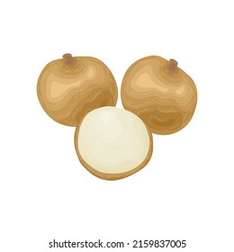 
Longan vector fruit chinese element cute cartoon vitamin summer asian season harvest fresh exotic