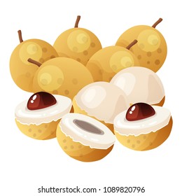 longan vector illustration