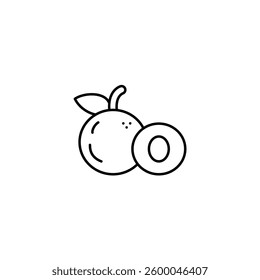 Longan vector line icon icons design