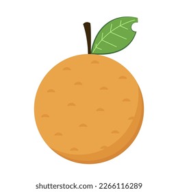 Longan vector. Summer tropical fruits for healthy lifestyle. Longan fruit. Vector illustration cartoon flat icon isolated on white.