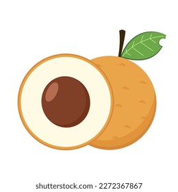 Longan vector. Summer tropical fruits for healthy lifestyle. Longan fruit. Vector illustration cartoon flat icon isolated on white.