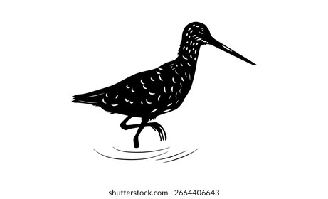 Long-billed Dowitcher bird, black isolated silhouette
