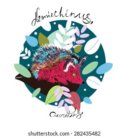 The long-eared hedgehog (Hemiechinus auritus)