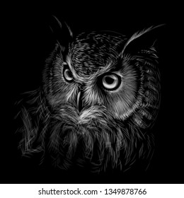 
Long-eared Owl. Black and white graphic hand-drawn portrait of an owl on a black background