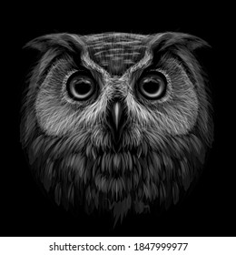 Long-eared Owl. Black and white graphic portrait of an owl on a black background. Digital vector drawing