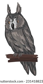 Long-eared owl clipart in cartoon style. Realistic colored drawing of nocturnal bird wild animal. Vector illustration isolated on white background.