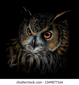 Long-eared Owl. Color graphic hand-drawn portrait of an owl on a black background.