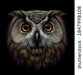 Long-eared Owl. Color, graphic  portrait of an owl on a black background. Digital vector drawing