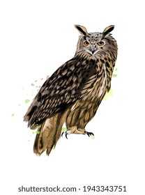 Long-eared Owl, Eagle owl from a splash of watercolor, colored drawing, realistic. Vector illustration of paints