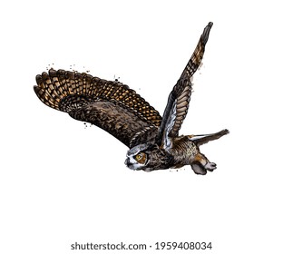 Long-eared Owl, Eagle owl from a splash of watercolor, colored drawing, realistic. Vector illustration of paints