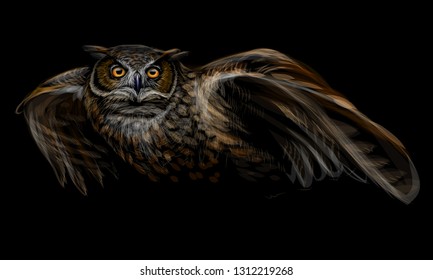 Long-eared owl in flight. Color image on black background