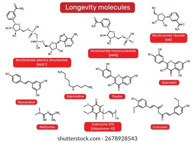 Longevity molecules. NAD+, nicotinamide mononucleotide (NMN), nicotinamide riboside (NR), spermidine, resveratrol, fisetin, quercetin, metformin, coenzyme Q10, curcumin