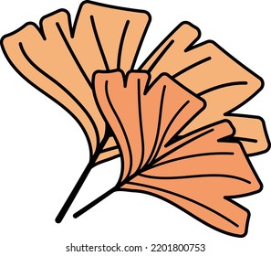longevity Vector Icon Design, Autumn or Fall activities Symbol, Dry weather Sign, Temperate climates Elements Stock illustration, ginkgo leaves fall Concept
