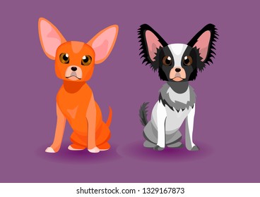 Longhair black and white chihuahua and shorthair ginger chihuahua