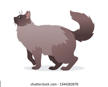 Long-haired cat with long fluffy tail icon, pet isolated on white background, domestic animal, vector illustration in flat style