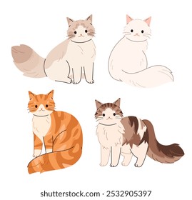 Long-haired cats. Siberian cat, Ragdoll, Turkish Angora, Norwegian Forest cat.