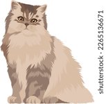 Long-haired sitting thoroughbred cat with bright eyes