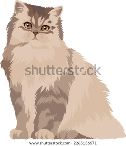 Long-haired sitting thoroughbred cat with bright eyes