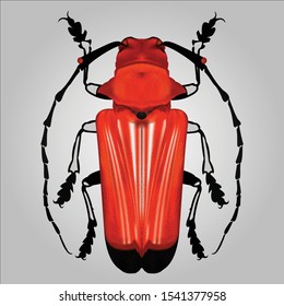 Longhorn beetle vector on gray background.