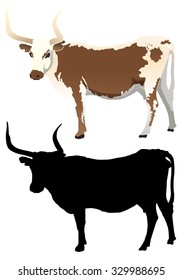 Longhorn Cow With Silhouette