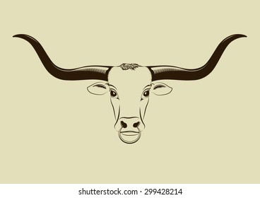 Longhorn head with nose ring