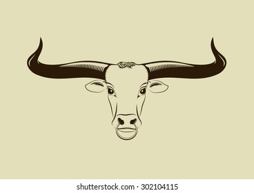 Longhorn head with nose ring
