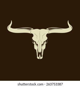 Longhorn Skull