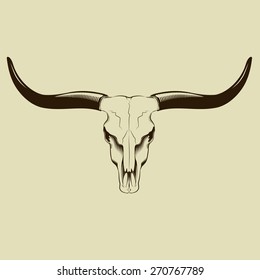 Longhorn Skull