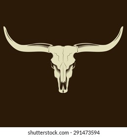 Longhorn Skull