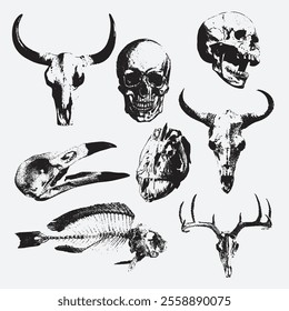 Longhorn skull with halftone stipple effect, for grunge punk collage design.  illustration in grainy photocopy texture