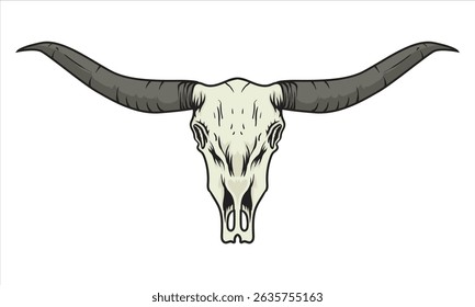 longhorn skull with white background separately