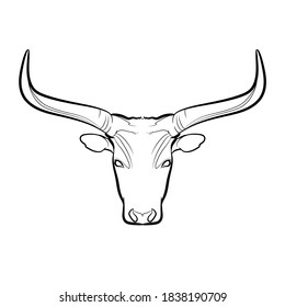 Longhorn Steer (head). Line Drawing. Black And White Illustration. Vector.