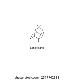 Longifolane skeletal structure.Sesquiterpene compound schematic illustration. Simple diagram, chemical structure.