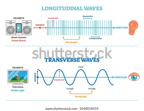 縦波と横波のタイプ 波の構造と違いを示すベクターイラスト科学図 音と視覚の原理 のベクター画像素材 ロイヤリティフリー